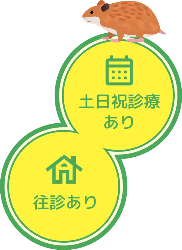 土日祝診療あり／往診あり